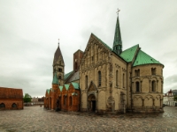 Ribe